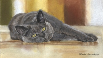 Reclining -black- cat 9x12
Original  $250